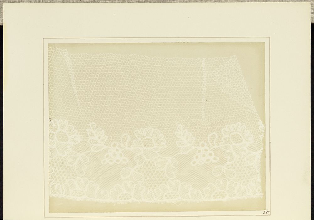 Lace by William Henry Fox Talbot