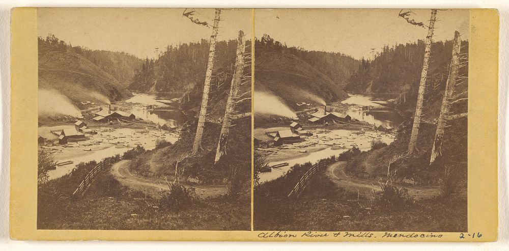 Albion River & Mills, Mendocino by Carleton Watkins