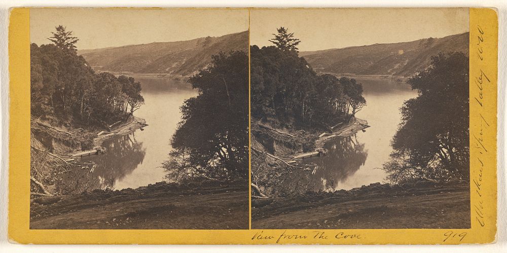 View from Cove (919) by Carleton Watkins