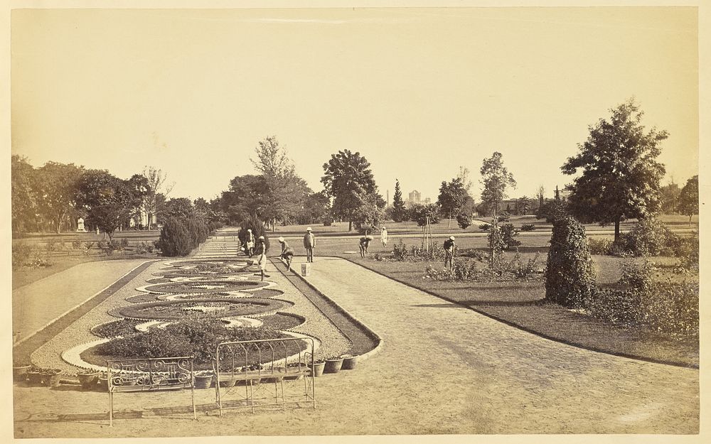 Flower Bed in front of the Baradari in Wingfield Park, Lucknow
