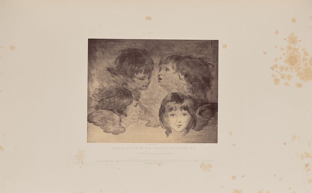 Angels Heads, by Sir Joshua Reynolds, R.A. by Robert Howlett