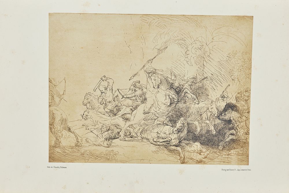 The large lion hunt by Bisson Frères
