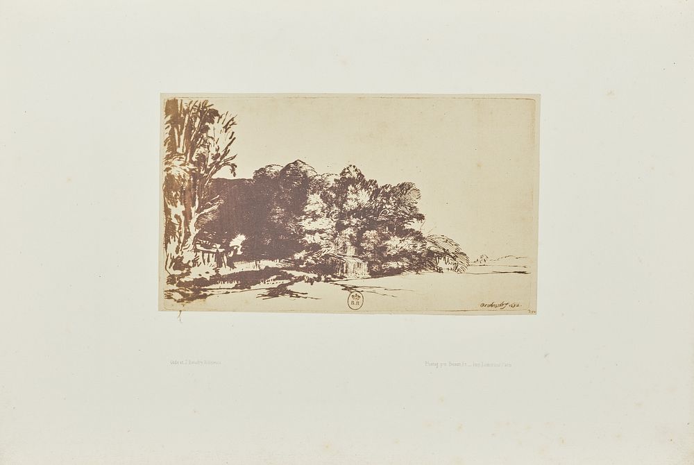 Clump of trees with a vista by Bisson Frères