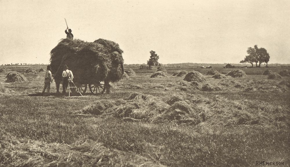 The Haysel by Peter Henry Emerson