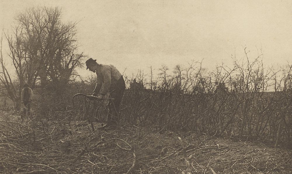 Fencing in Suffolk by Peter Henry Emerson
