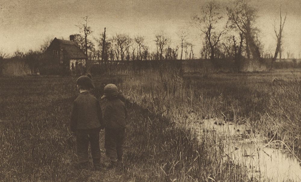 A Toad in the Path: Early Spring in Norfolk by Peter Henry Emerson