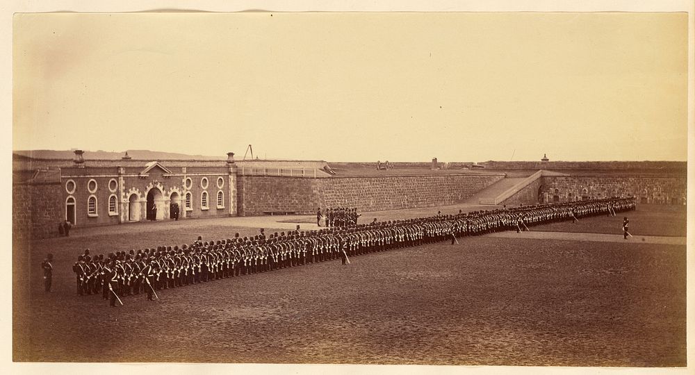 Fifeshire Militia in formation by Thomas Rodger