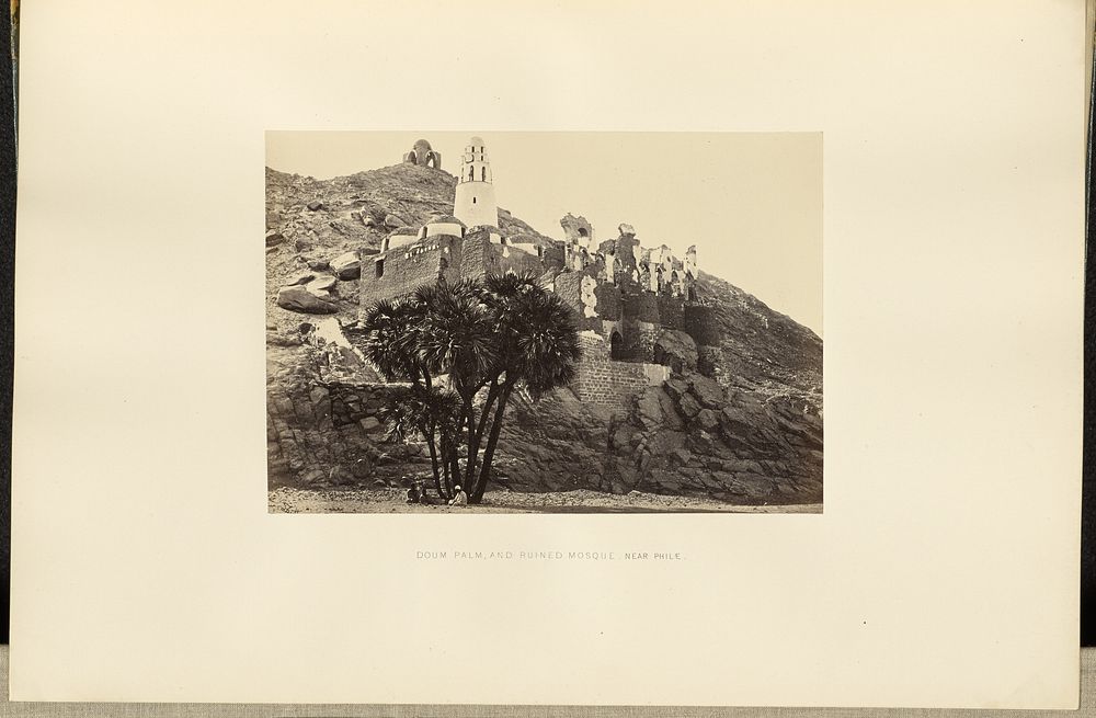 Doum Palm and Ruined Mosque, near Philae by Francis Frith