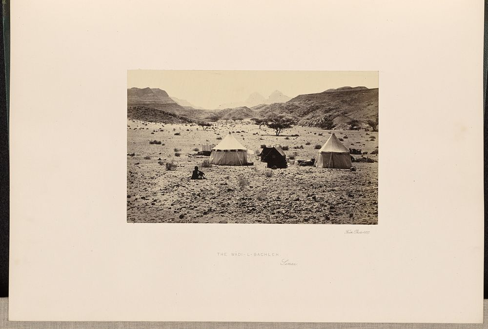 The Wadi-L-Baghleh, Sinai by Francis Frith
