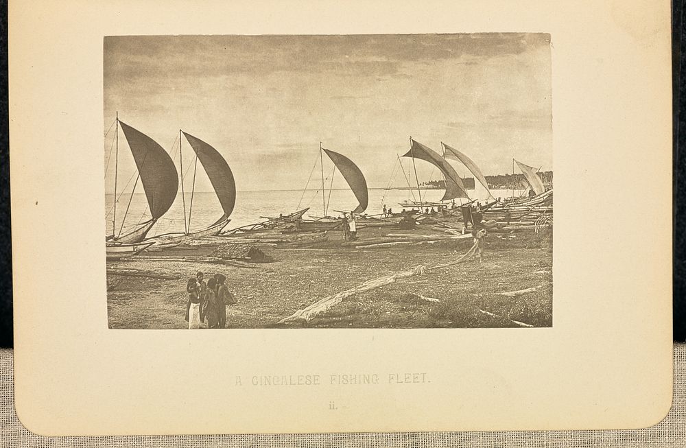 A Singhalese Fishing Fleet by Henry W Cave