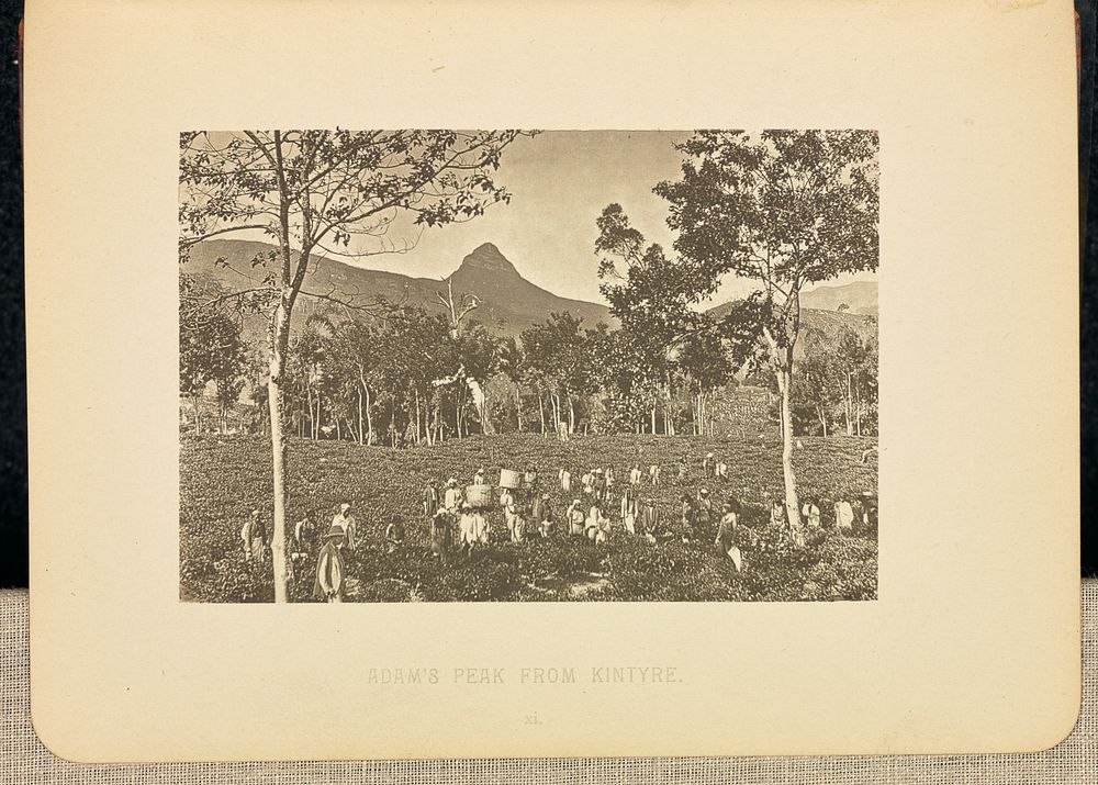 Adam's Peak, from Kintyre by Henry W Cave
