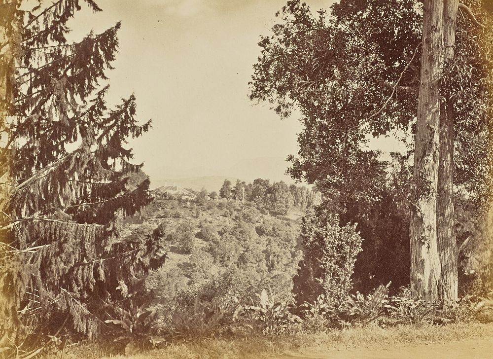 View of a Hill by Willoughby Wallace Hooper