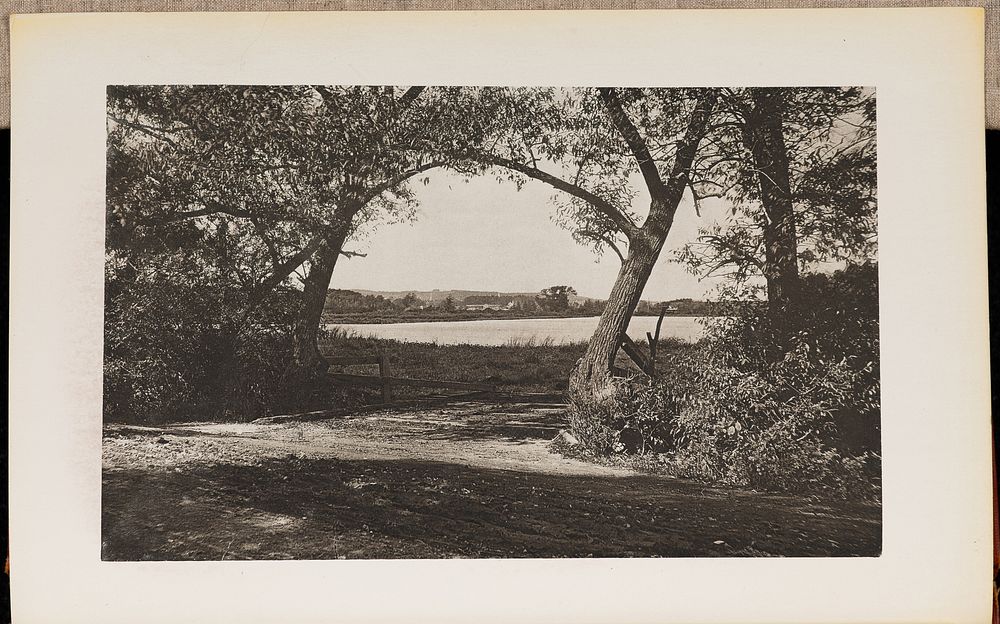 Scene near Fresh Pond, in Cambridge, on Concord Turnpike by Wilson Flagg