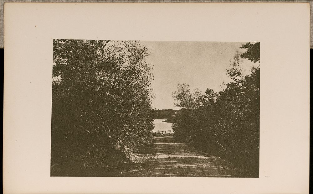 View in Lynn, Looking through a Vista of Trees on a Descending Road by Wilson Flagg