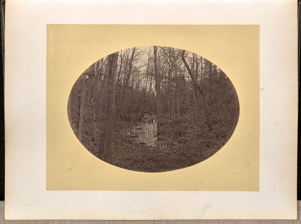 Wooded area, West Point by George Kendall Warren