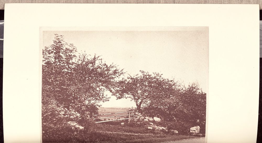 Apple-trees in the Nook of an old Orchard in Danvers by Wilson Flagg
