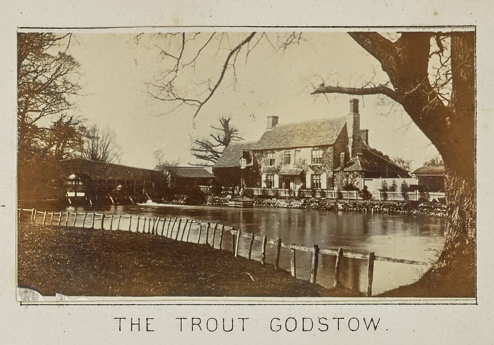 The Trout Godstow by Henry W Taunt