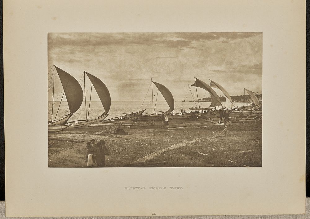 A Ceylon Fishing Fleet by Henry W Cave