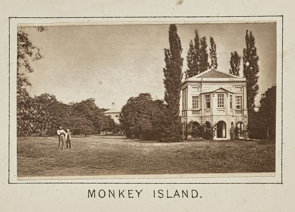 Monkey Island by Henry W Taunt
