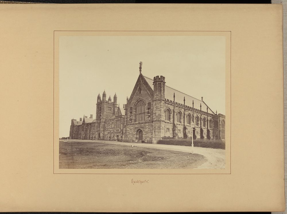 University by Charles Percy Pickering and New South Wales Government Printing Office