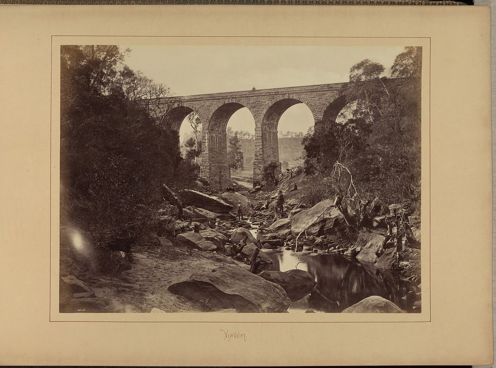 Viaduct by New South Wales Government Printing Office