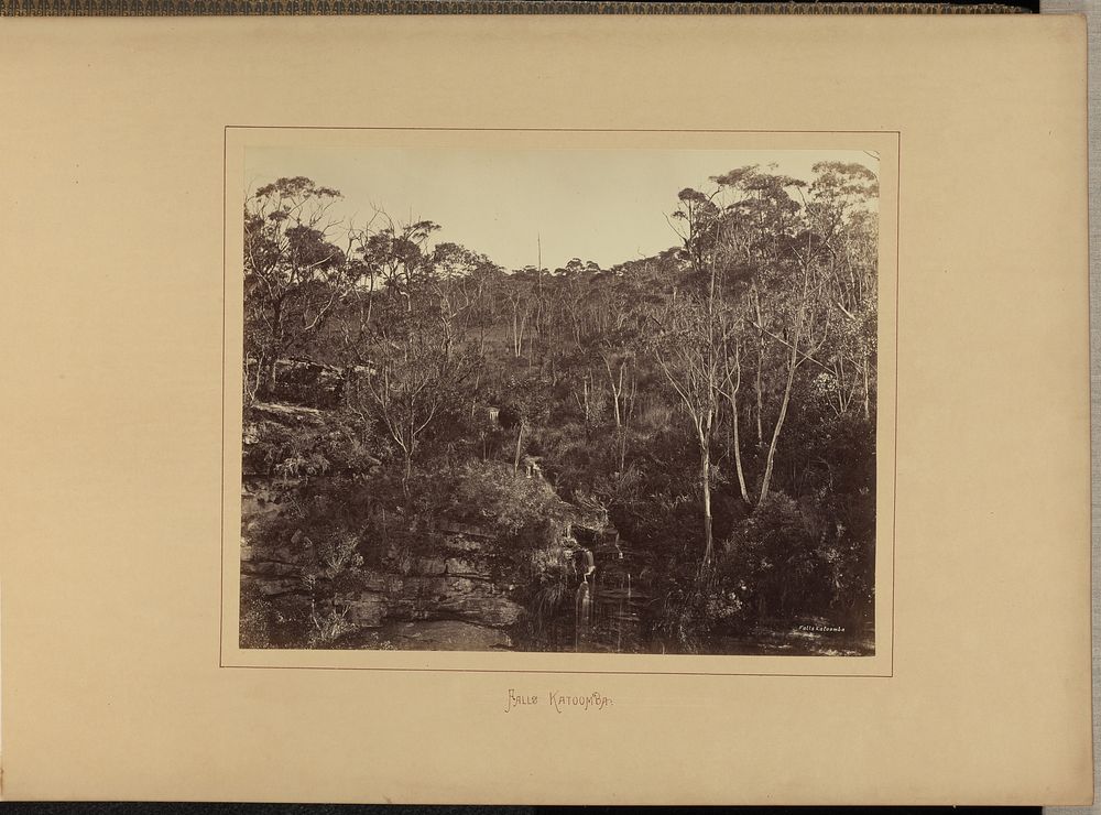 Falls Katoomba by New South Wales Government Printing Office
