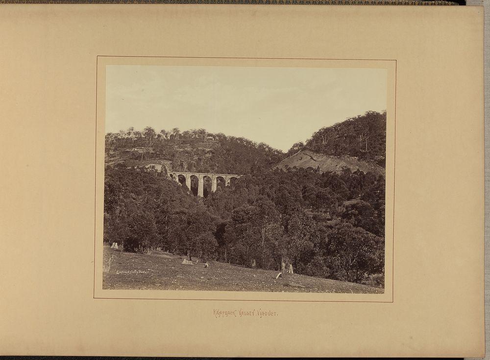 Knapsack Valley. Viaduct by New South Wales Government Printing Office
