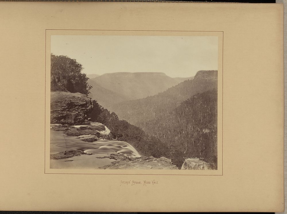 Fitzroy Falls, Moss Vale by New South Wales Government Printing Office