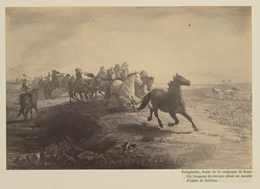 Poingdestre, Scène de la campagne de Rome. Un troupeau de chevaux allant au marché d'après le tableau by James Anderson