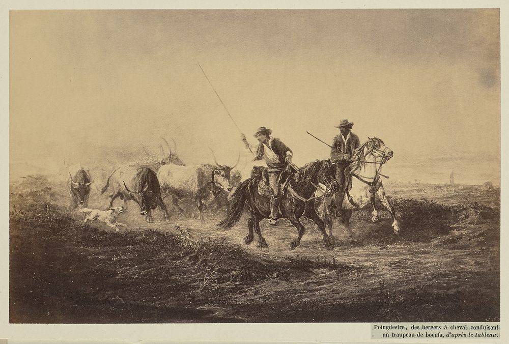 Poingdestre, des bergers à cheval conduisant un traupeau de boeufs, d'après le tableau by James Anderson