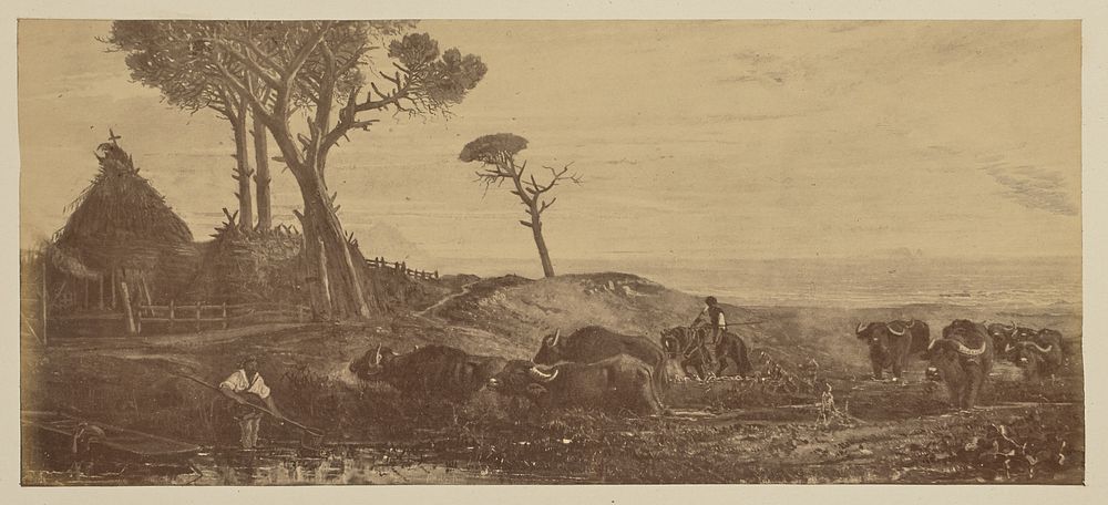 Rural landscape with buffalo by Gustavo Reiger