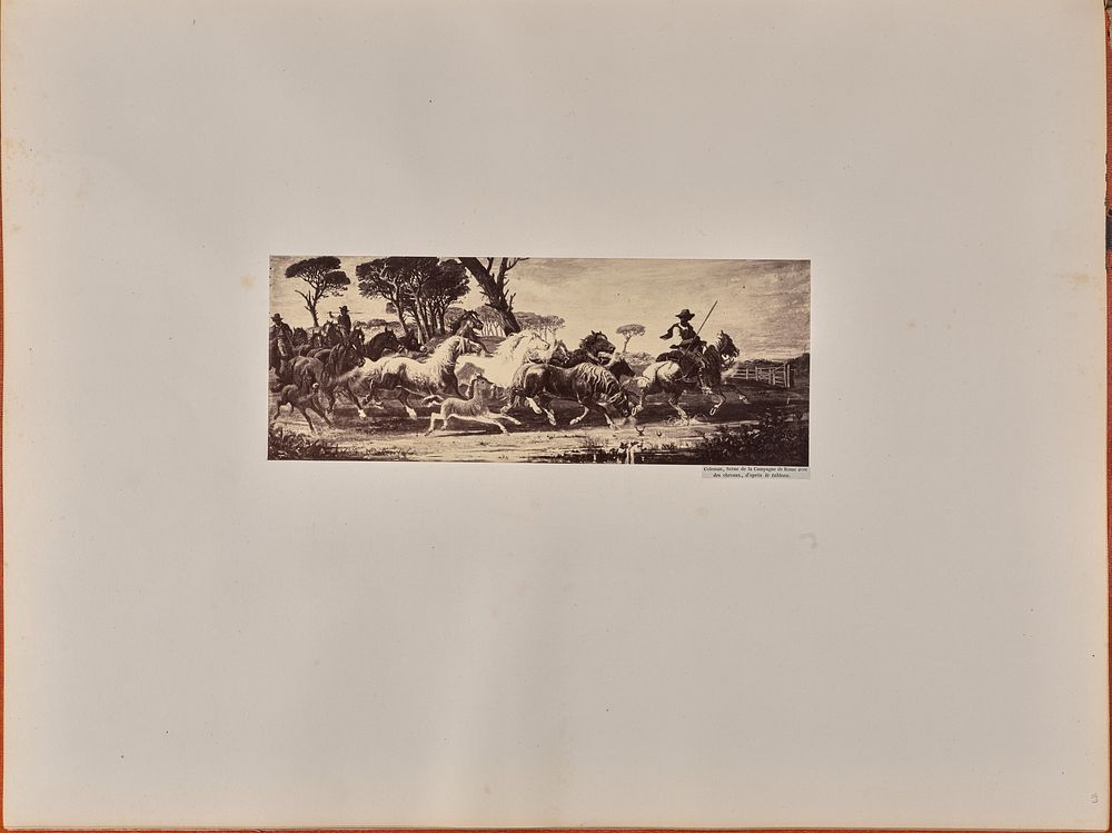 Coleman, Scène de la Campagne de Rome avec des chevaux, d'aprés le tableau by James Anderson