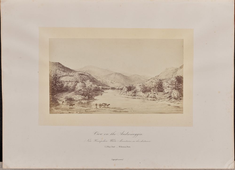 View on the Androscoggin by William Notman
