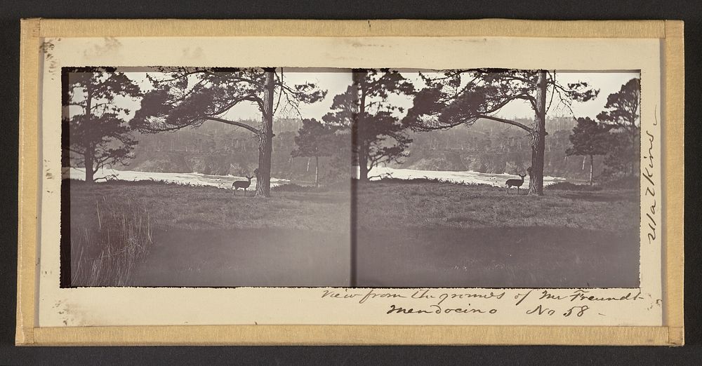 View from the Grounds of Mr. Freundt, Mendocino by Carleton Watkins