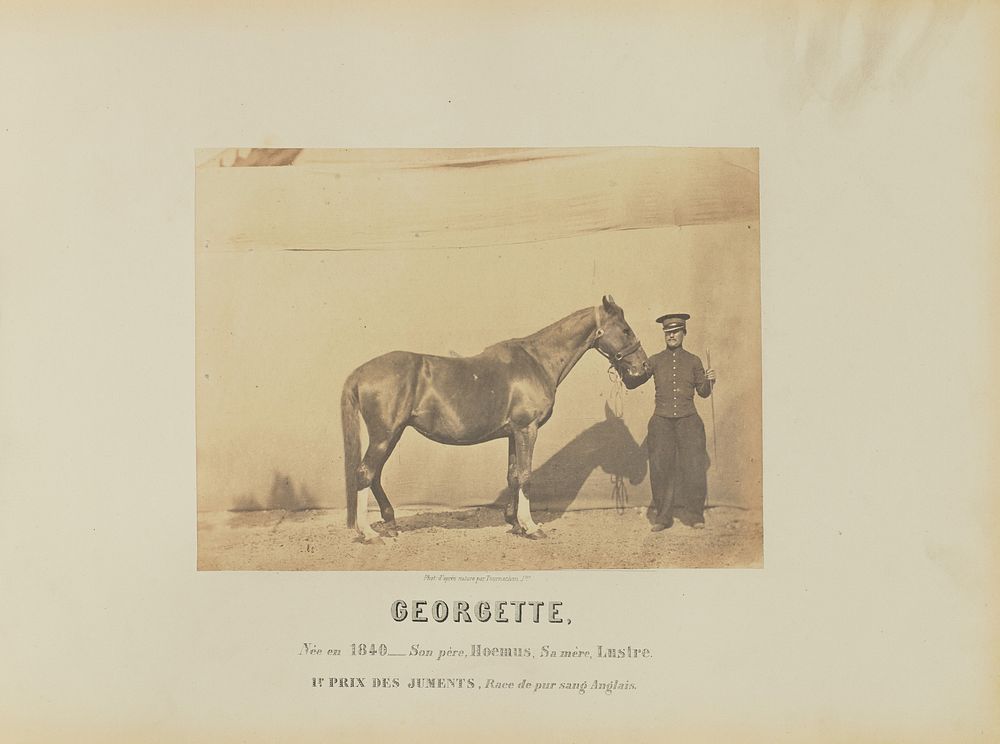 Georgette by Adrien Alban Tournachon