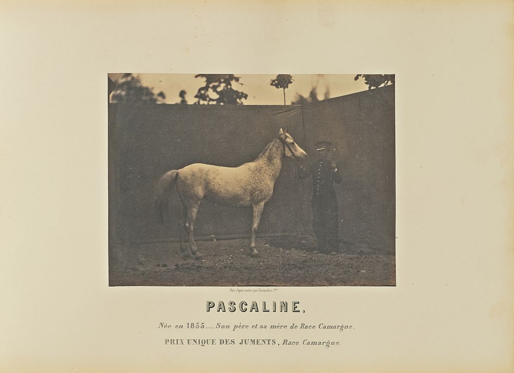 Pascaline by Adrien Alban Tournachon