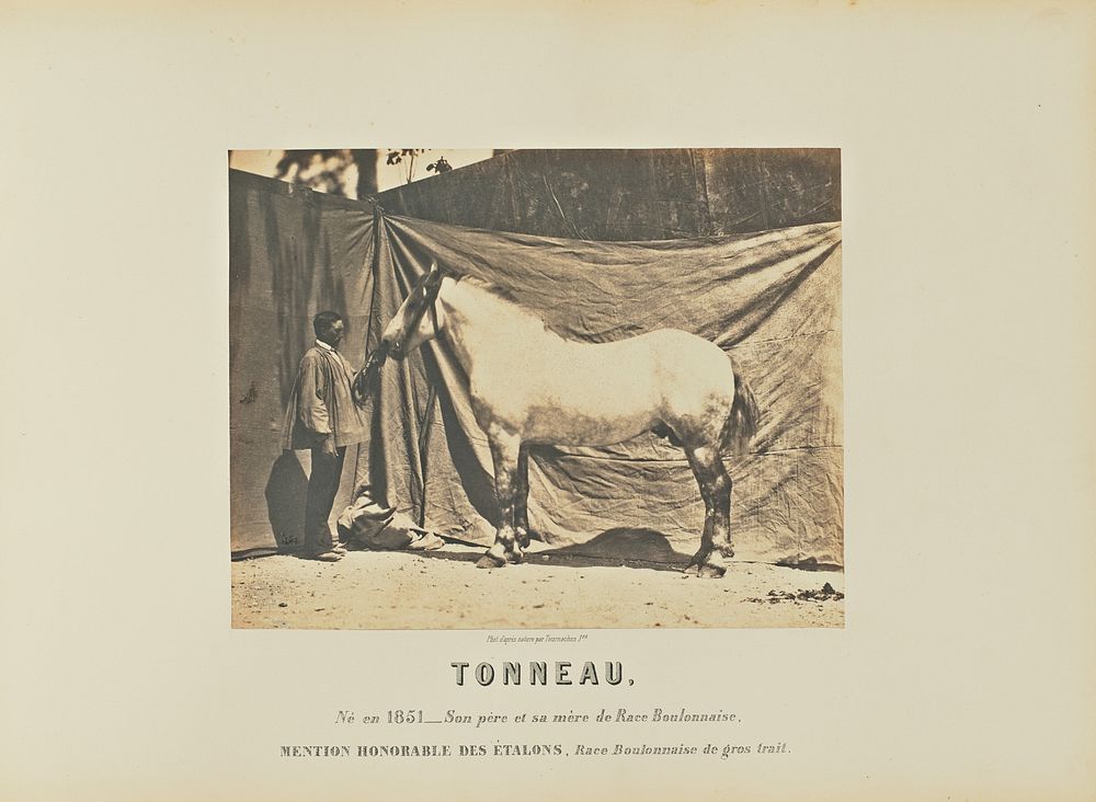 Tonneau by Adrien Alban Tournachon