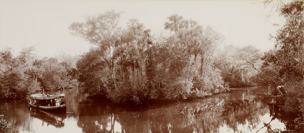 On the Tomoka near Ormond, Florida by William Henry Jackson and Detroit Photographic Co