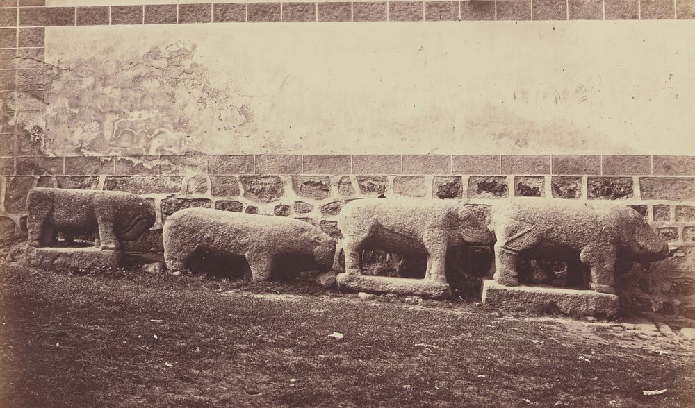 Sanghiers in Granite in Palais du Duc d' Abrantes by Juan Laurent