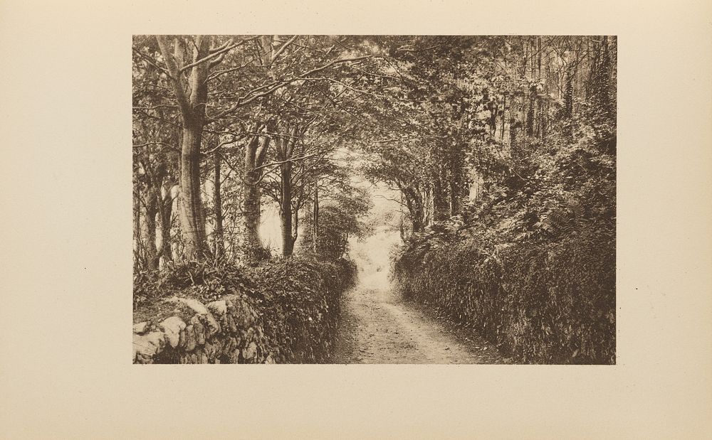 Road Near Ley Abbey by Charles L Mitchell M D and A W Elson and Co