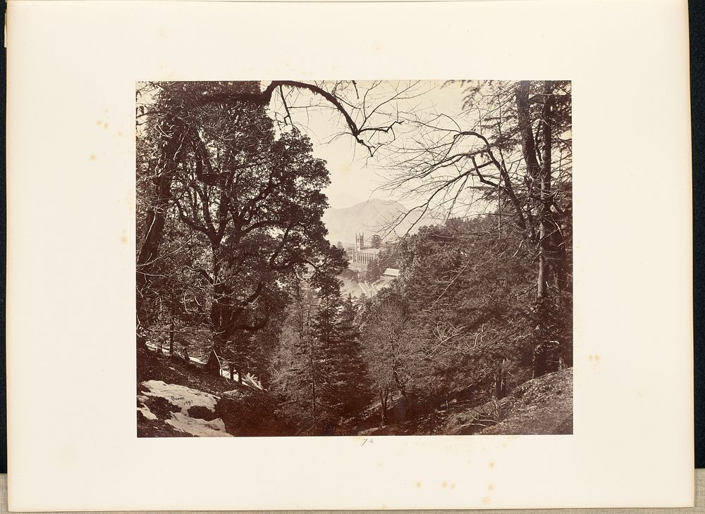 Simla; Pic-nic [sic] amongst the Trees at Annandale by Samuel Bourne
