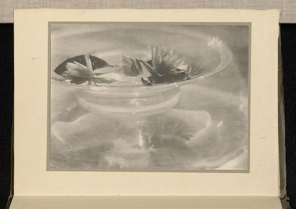 Still Life [water lilies] by Baron Adolf de Meyer and Alfred Stieglitz