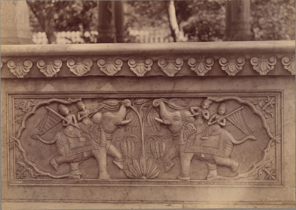 Elephant Carvings in the Plinth of Cenotaph of Maharaja Sawai Jey Sing [sic], Jeypore by Lala Deen Dayal