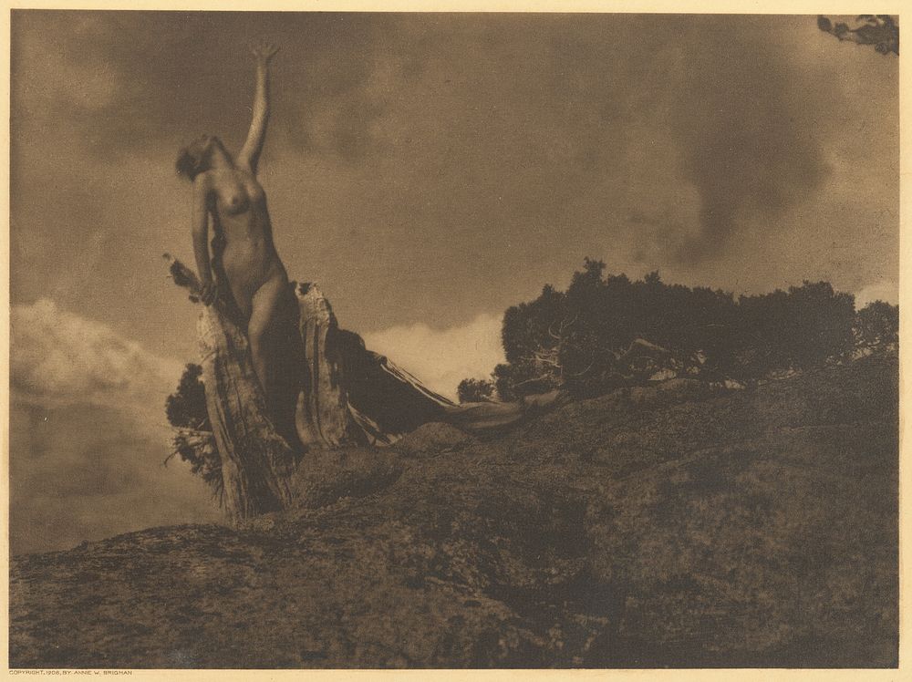 Soul of the Blasted Pine by Anne W Brigman