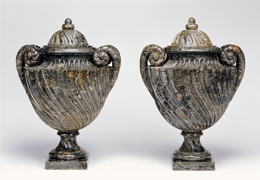 Pair of lidded vases