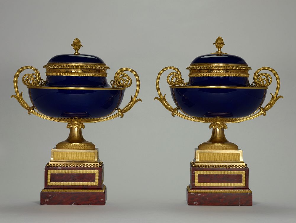 Pair of Lidded Bowls (vases cassolettes à monter) by Pierre Philippe Thomire and Sèvres Manufactory