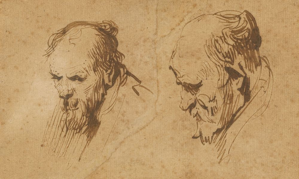Two Studies of the Head of an Old Man by Rembrandt Harmensz van Rijn