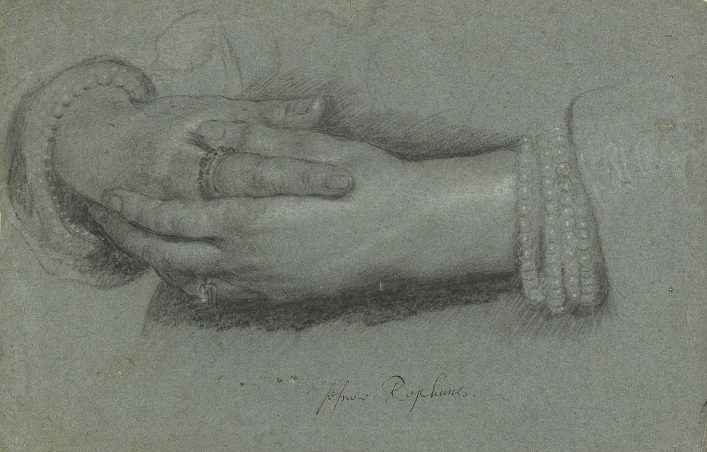 Study of a Woman's Hands by Cornelis Jansen van Ceulen Cornelius Jonson