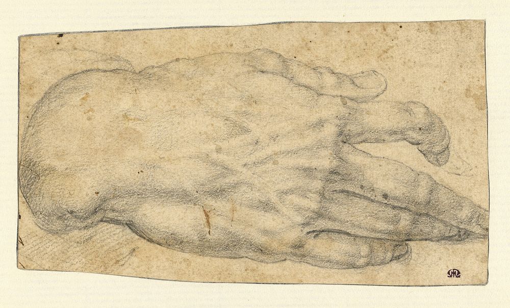 Study of a man's right hand (recto); Studies of four heads and of a nude figure seen from the rear (verso) by Agnolo Bronzino