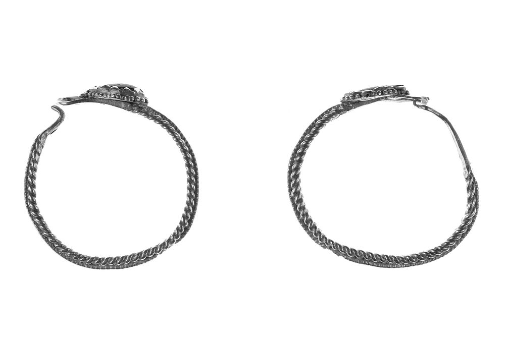 Pair of Loop Earrings